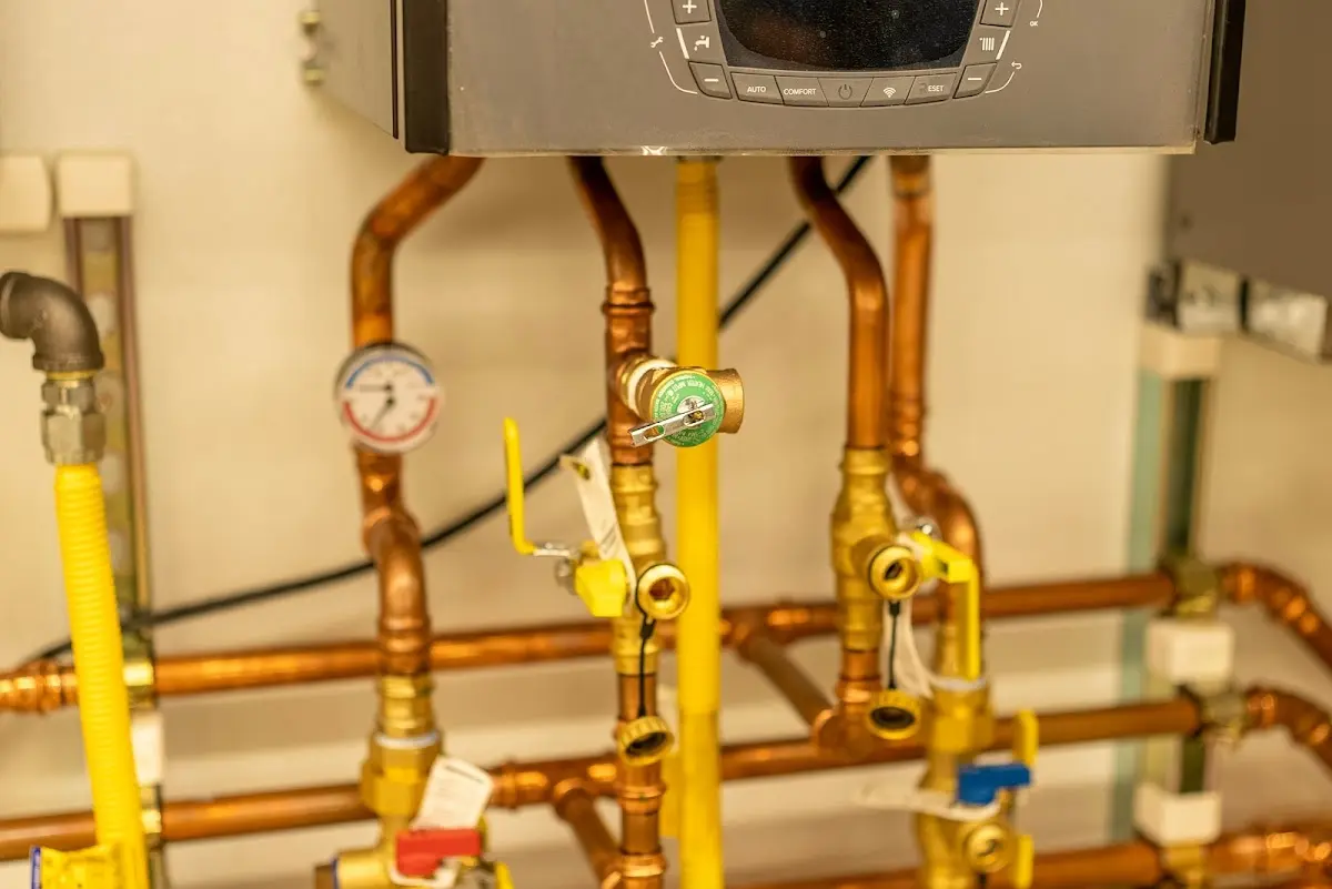 Licensed technician providing Sewer Cleanout for a homeowner in Paxton